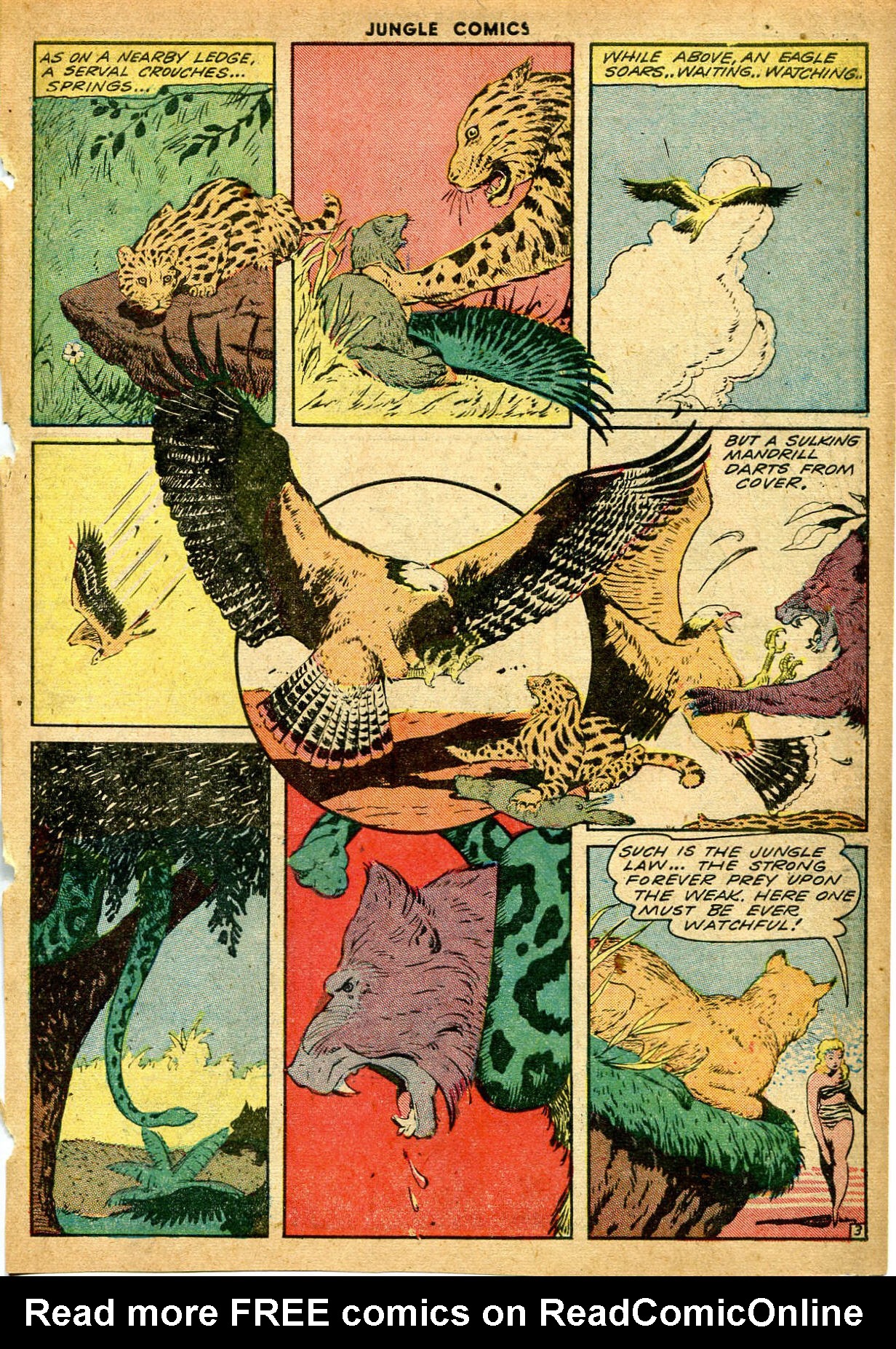 Read online Jungle Comics comic -  Issue #52 - 45