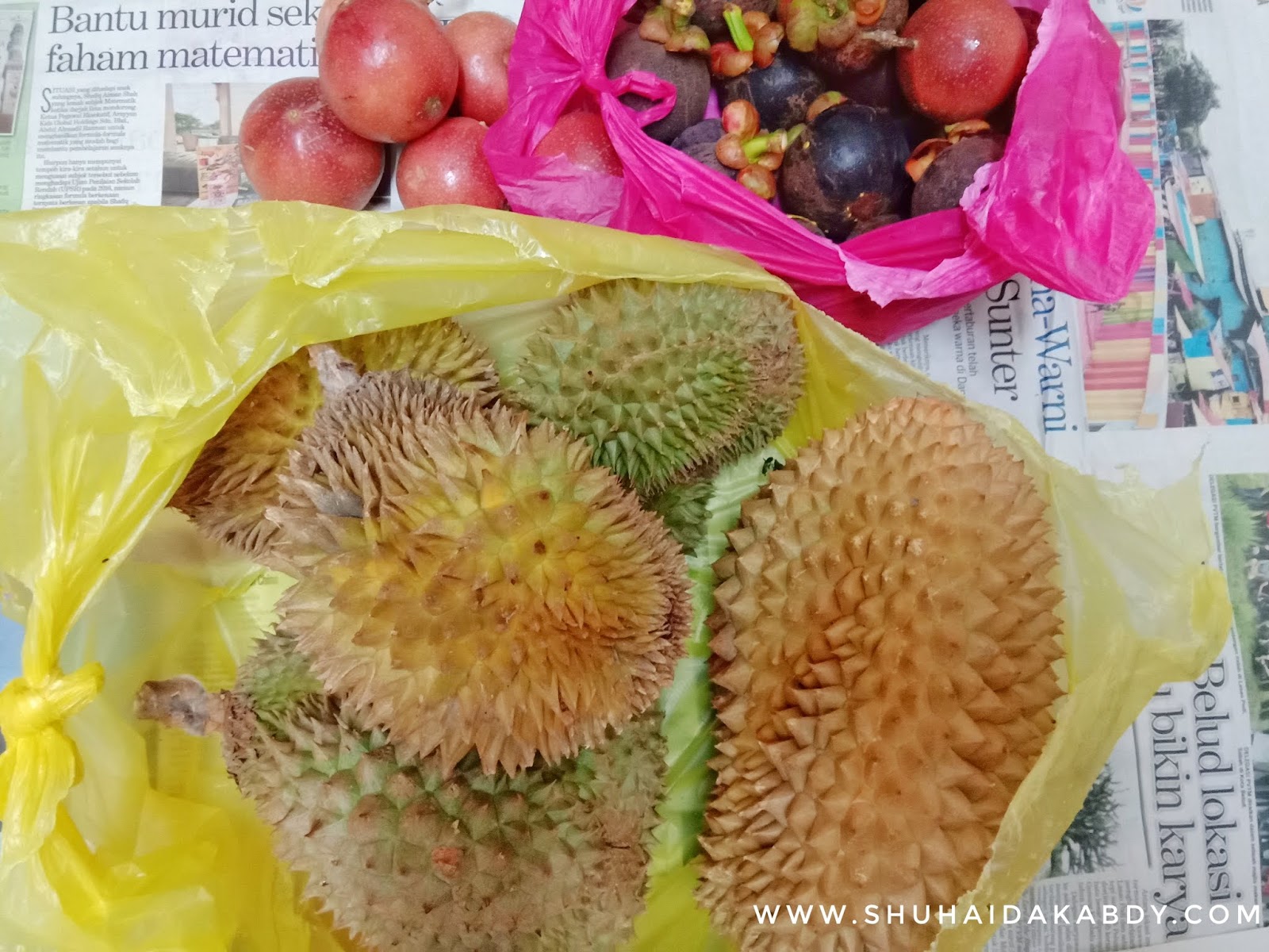 Buah Bermusim Buah Bermusim, Durian, Durian Batu Kurau