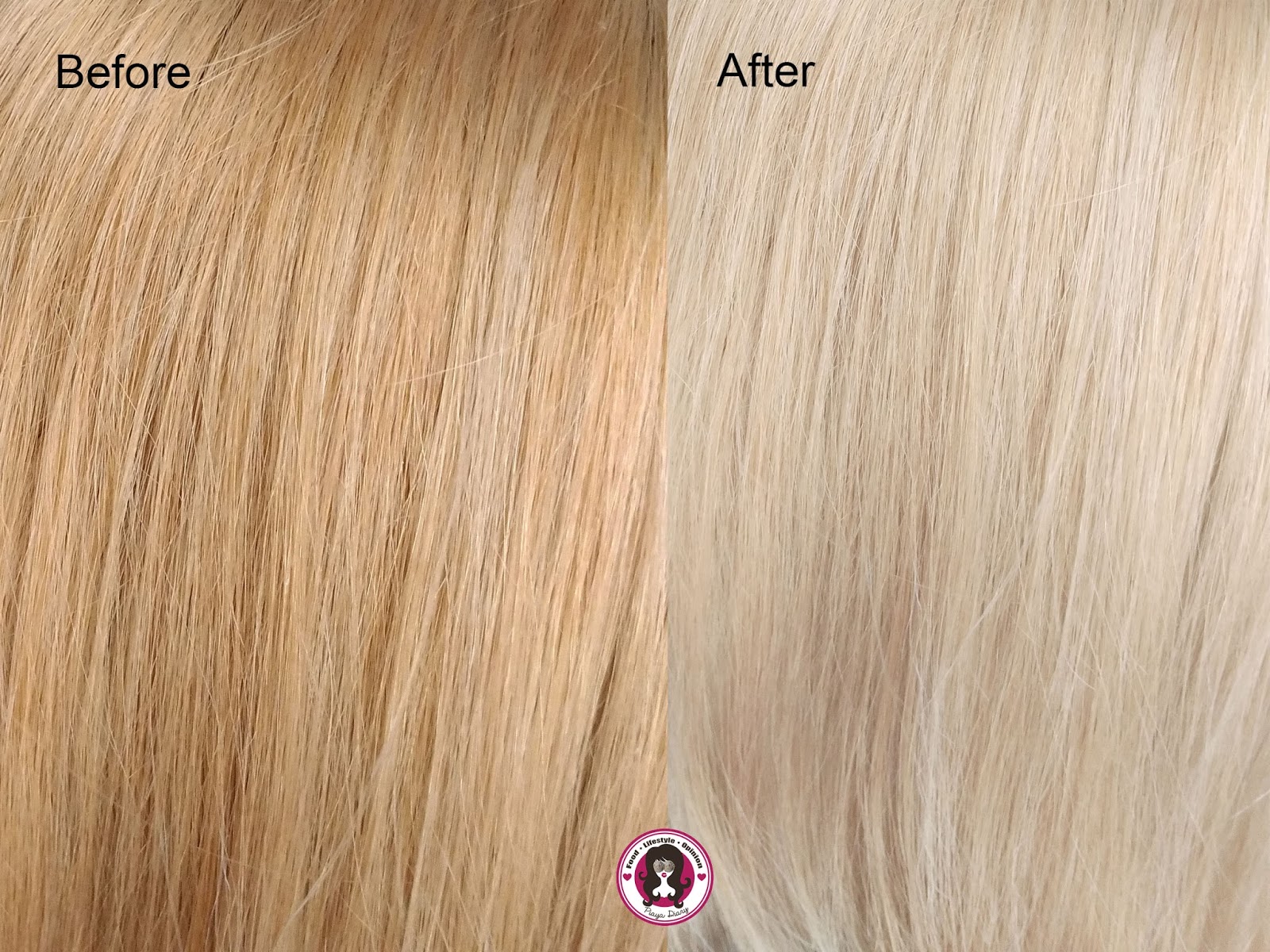 Piaya Diary April 2017