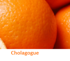 Health Benefits of Oranges (Santra) Fruit Cholagogue