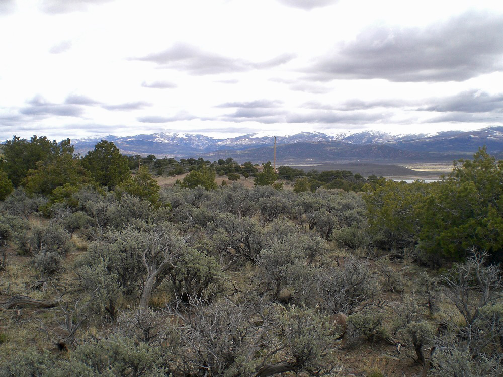 Colorado Vacation Land Property 4