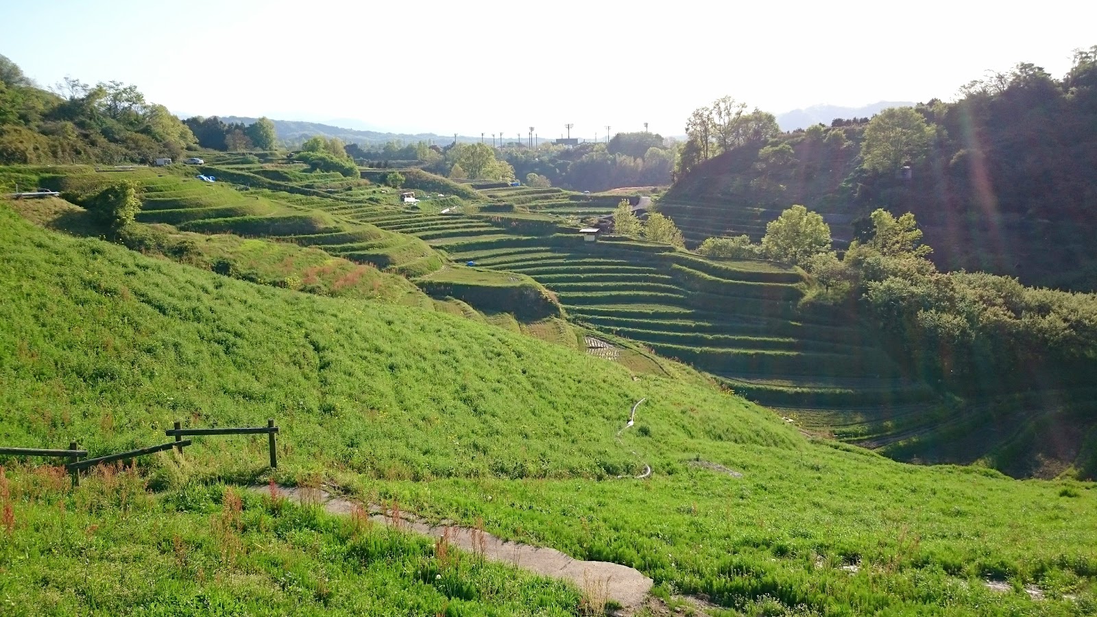 イベント 金剛山の里 棚田夢灯り アートフェスティバル２０１８ 千早赤阪村