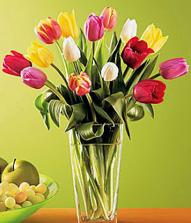 Tulipán, una flor con historia . florero con tulipanes de colores