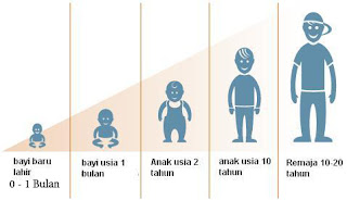 MY BLOG keperawatan: Tumbuh kembang Manusia