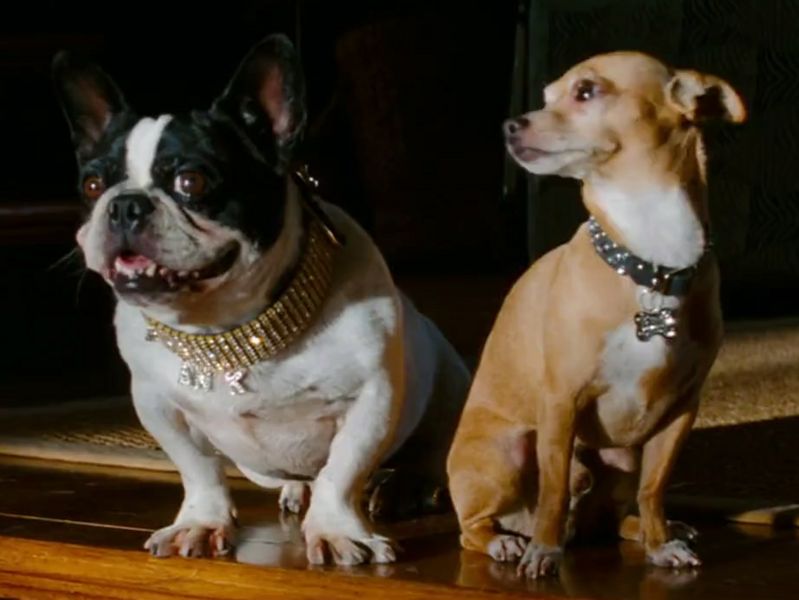 Transformers News March 2013