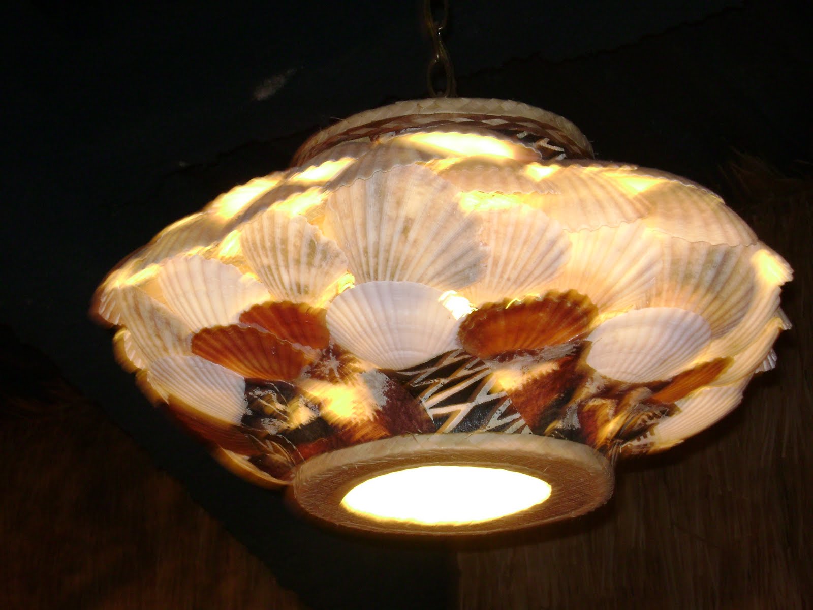 Annie's Seashell Ideas