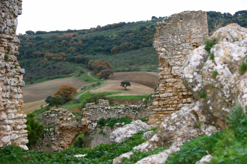 Kommunikation Mit Den Ahnen