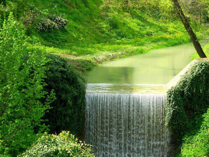Most Beautiful Green Nature Wallpapers In The World Most Beautiful Green Nature Wallpapers In The World