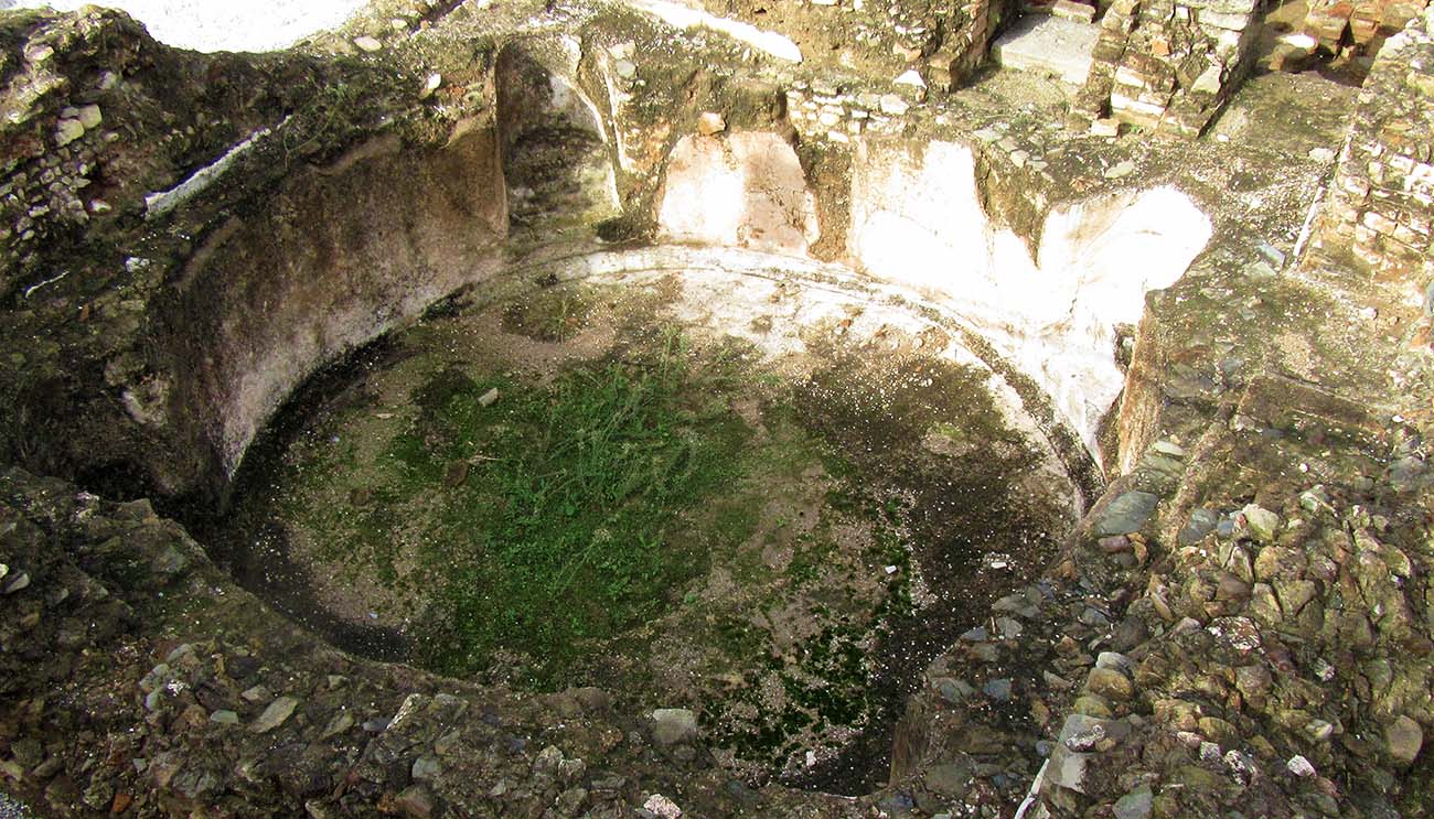 Back To The Continental Baths Moving with Mitchell