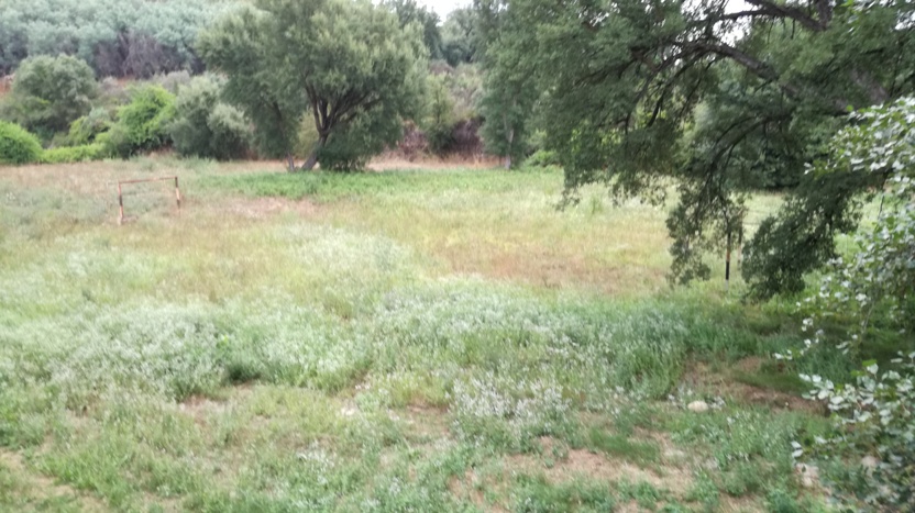 Campo de futebol desativado