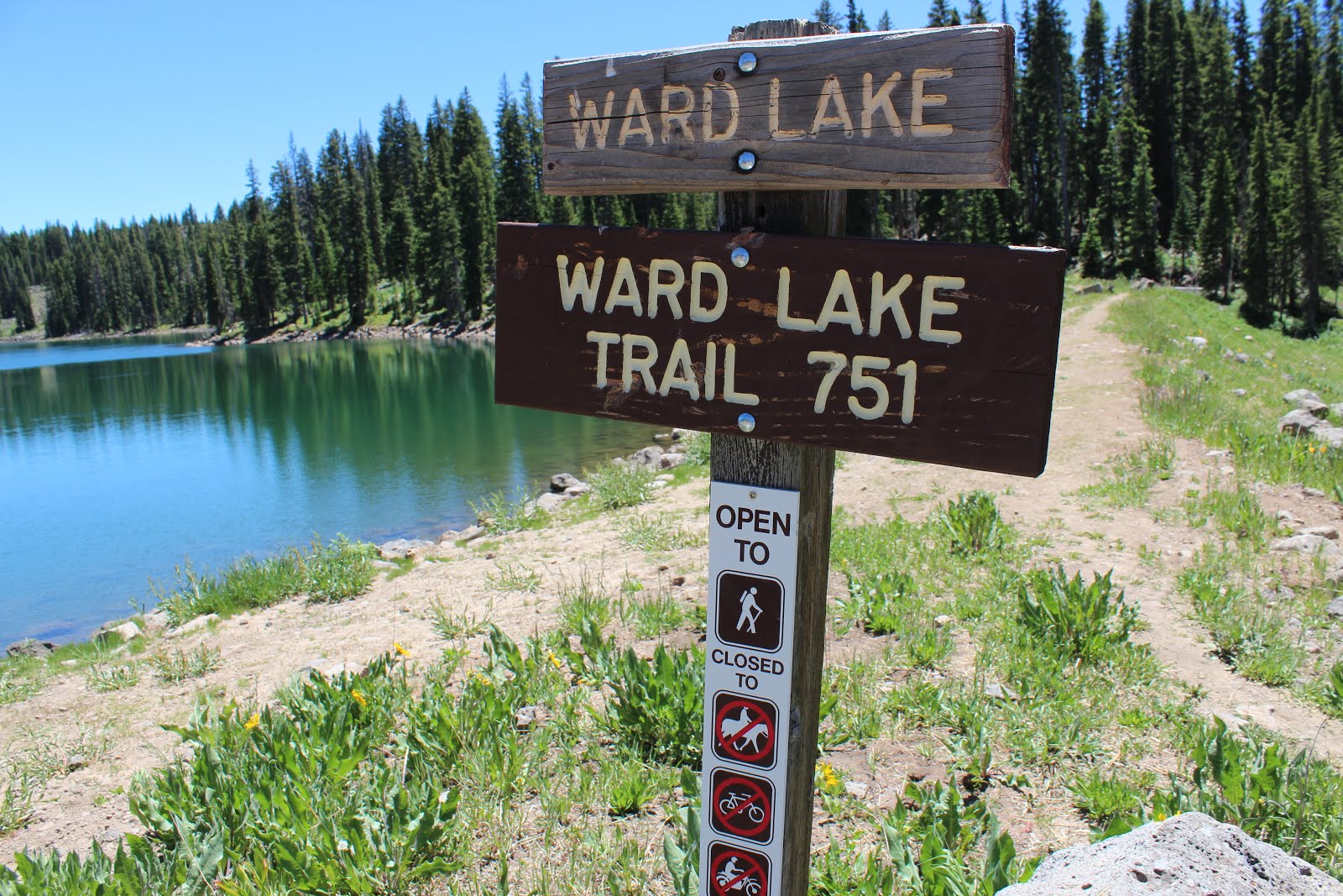 Ward Lake Loop