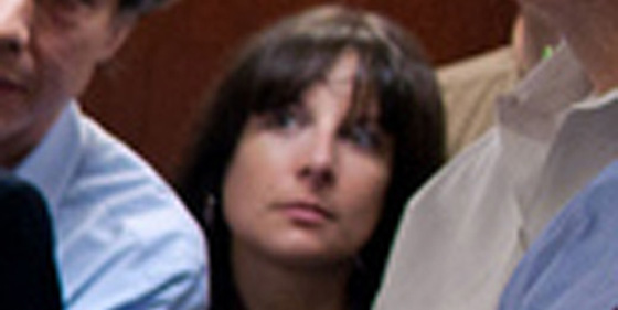 Audrey tomason harvard thesis 02 image