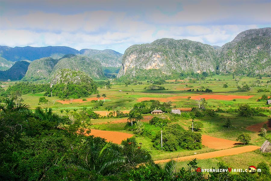 Parque Nacional Valle de Viñales, Cuba | Naturaleza y Viajes