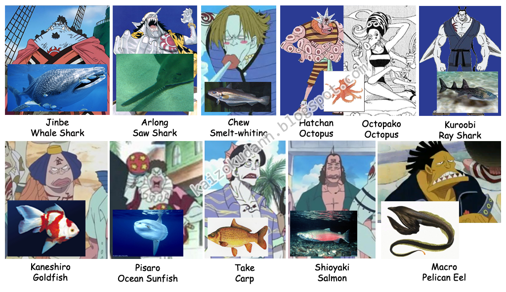 Kaizokudann Known Types Of Fishmen kaizokudann-known-types-of-fishmen