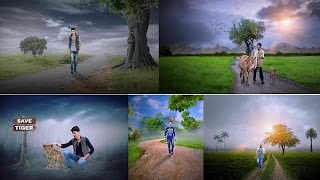 Top 5 Nature Photo Manipulation Ideas All Time For Editors