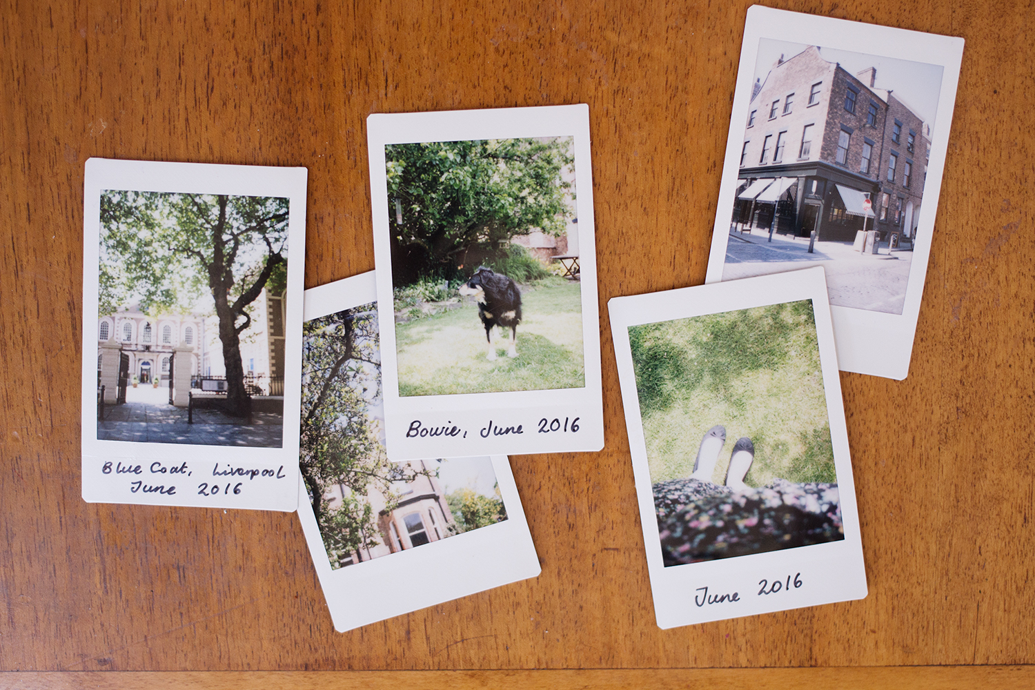 The Charm of Instant Photography Instax Mini Photos