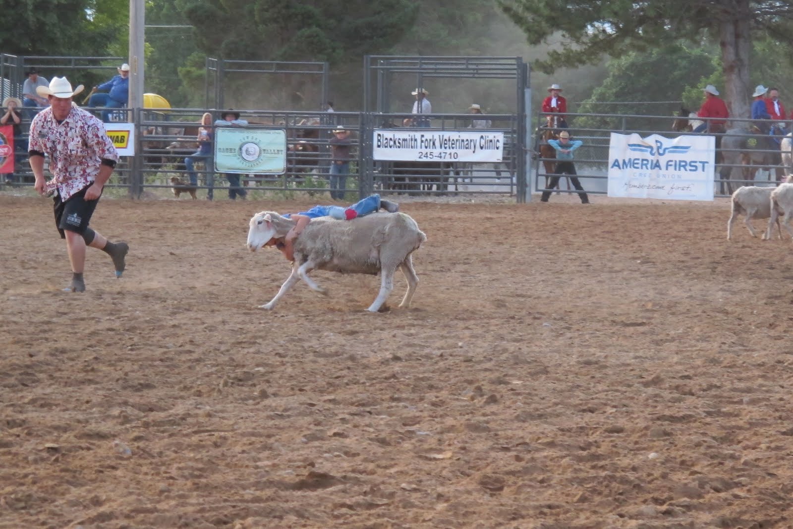 La Familia Latorre The Hyrum Rodeo