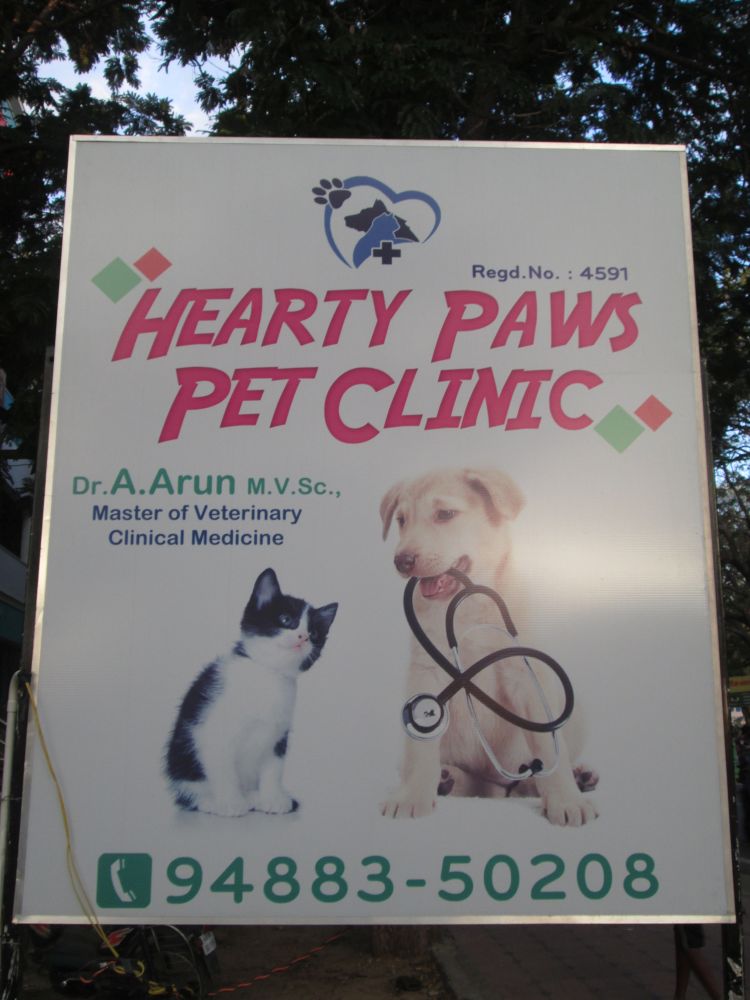 Hearty Paws Pet Clinic Tiruvannamalai ARUNACHALA GRACE