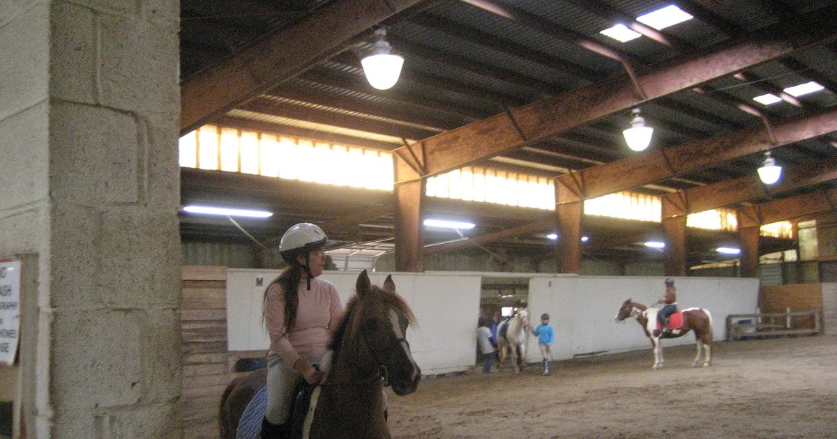 Do Horses Neigh When They Run? Can horses eat eggs?