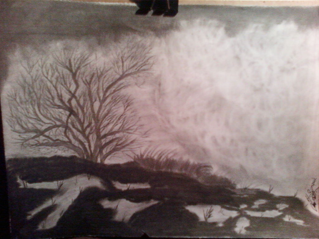 karikatur karakalem cizimi ve edebiyat