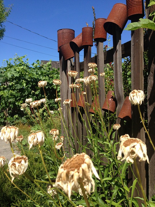 Garden Therapy: Different Garden Ideas