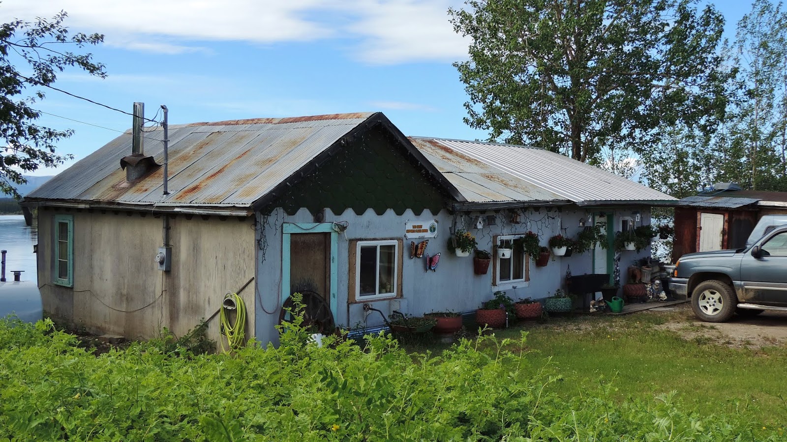 Travel with Kevin and Ruth Mayo to Keno City, Yukon and mama bear with