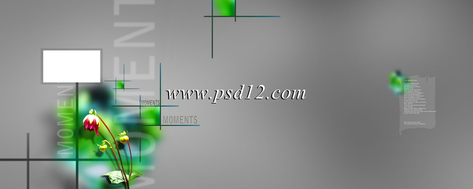 Backgrounds 12x30 PSD Karizma Album Backgrounds