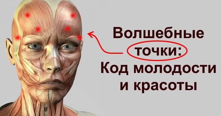 точечный массаж молодости на лице точечный массаж молодости на лице