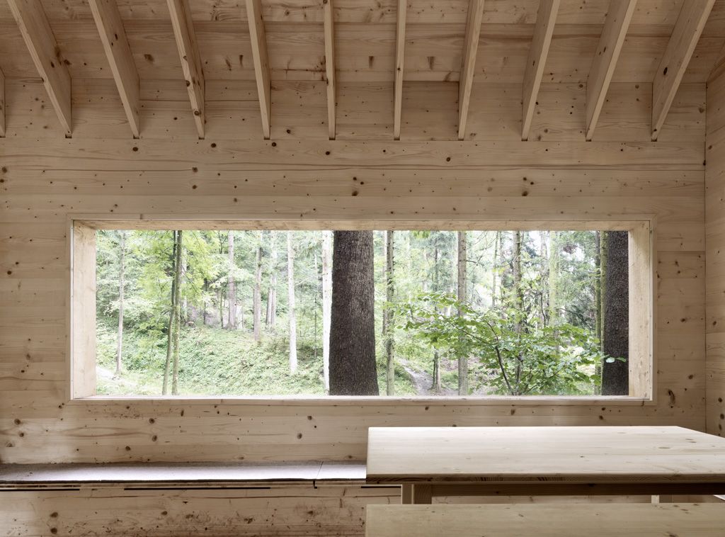 Die Affen Rasen Durch Den Wald Text Und Noten Affen Kokosnuss