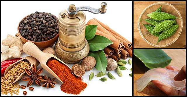 Herbs That Can Help Fight Symptoms Of Diabetes Herbs That Can Help Fight Symptoms Of Diabetes