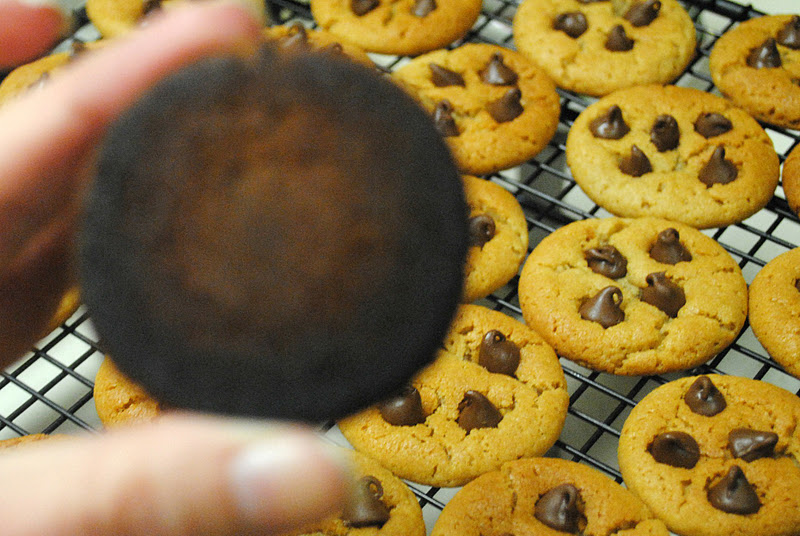 Chameleon Girls Peanut Butter Chocolate Smooch Cookies
