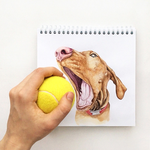 27-Want-the-Ball-Valerie-Susik-Валерия-Суслопарова-Cats-and-Dogs-Interactive-Animal-Drawings-www-designstack-co