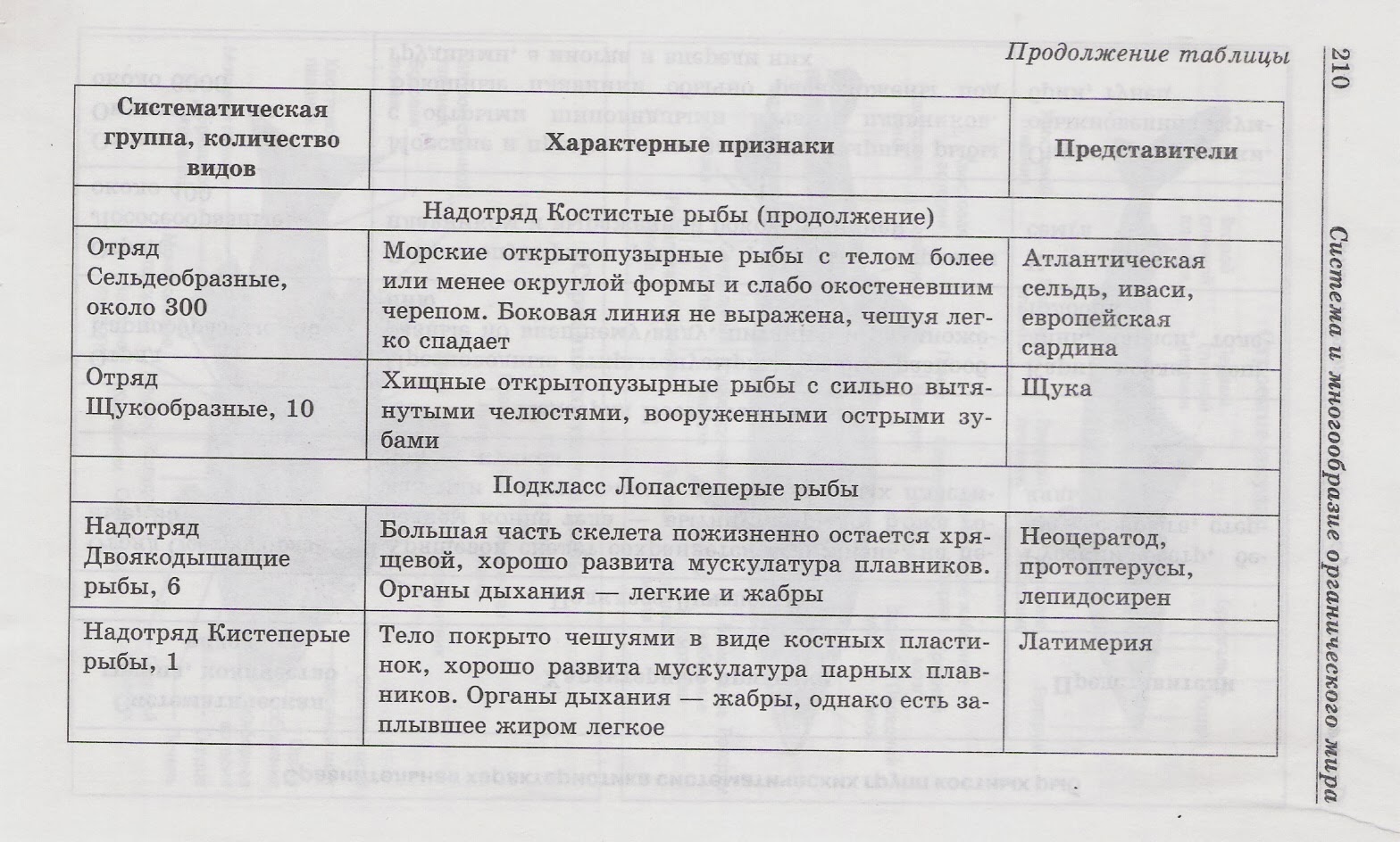 составление систематизирующей таблицы государственный строй стран мира