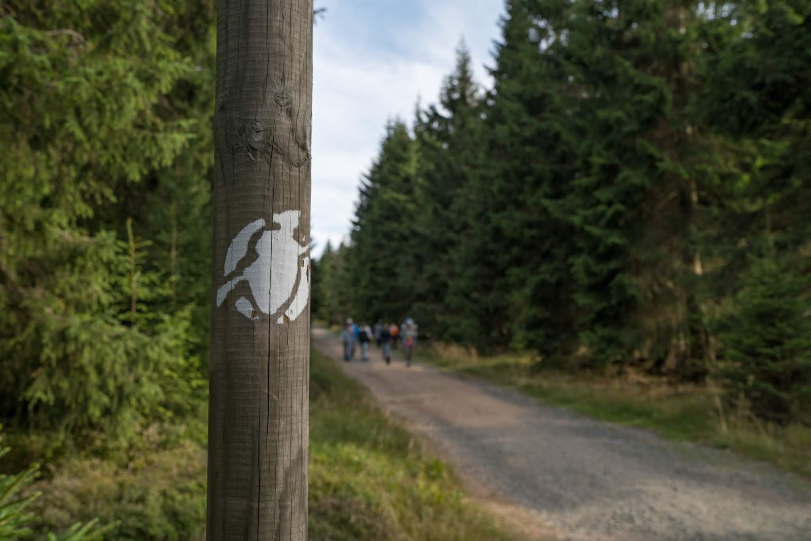 Blackfairys Welt Ein Wochenende Im Harz