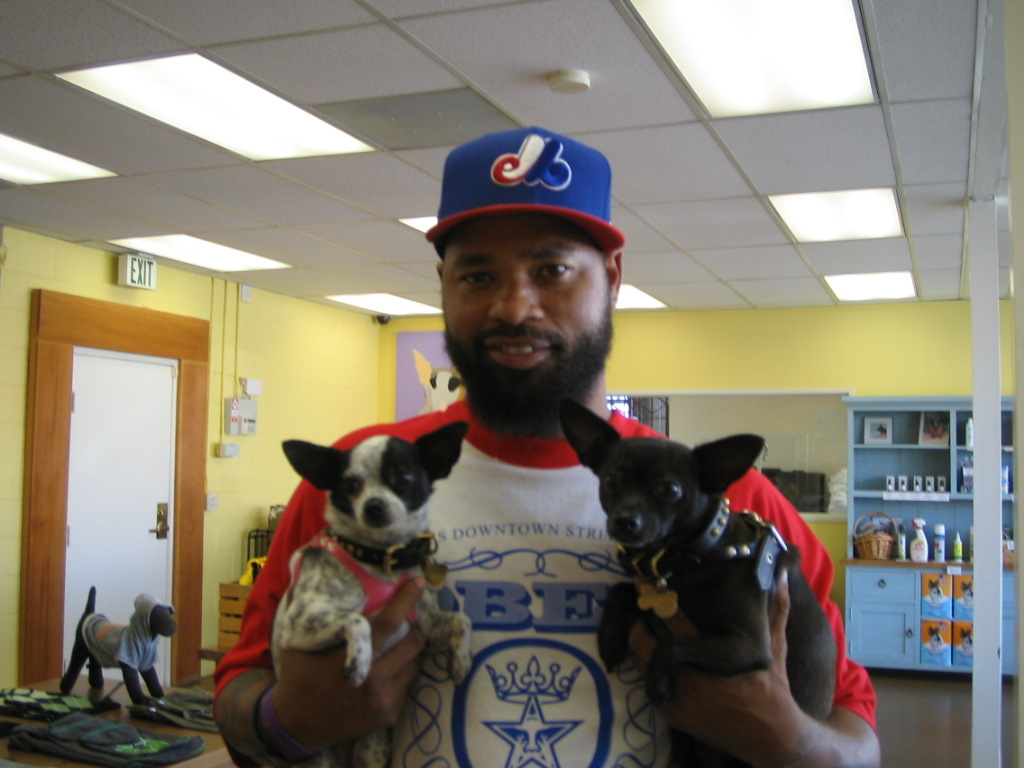 Venicepets TODAY S CUSTOMER CHIHUAHUA LILY JACK