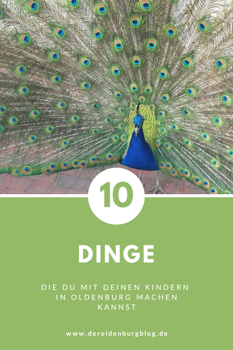 Admin Page 29 Cehic Com Ar