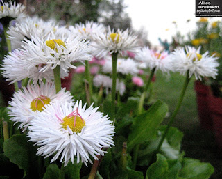 The world through a lens, Photography by Shahzil Rizwan