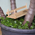 Como fazer a manutenção do seu minijardim - plantas