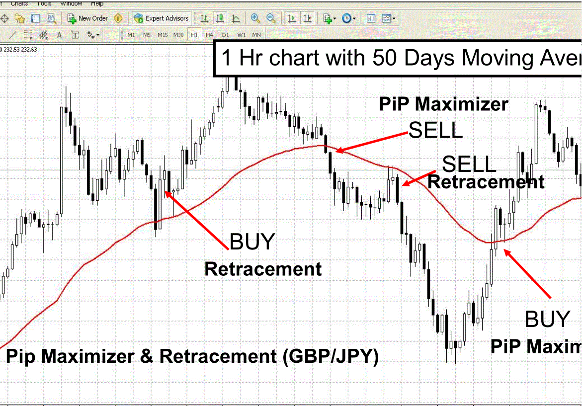 Forex understanding pips