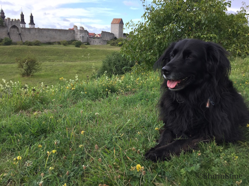 Kleiderkreisel At Blog Page 54 Chan 6710391 Rssing Com