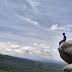  Sensasi Panorama Ketinggian Bukit Ko'ong (BK-02) Bondowoso