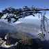 Frost Appears At The Top Of Fansipan, Sapa