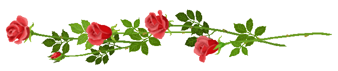 barra-divisoria-flores-rosas+(125).gif