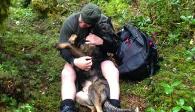 Lost Dog Couldn't Contain His Excitement When Reunited With Human
