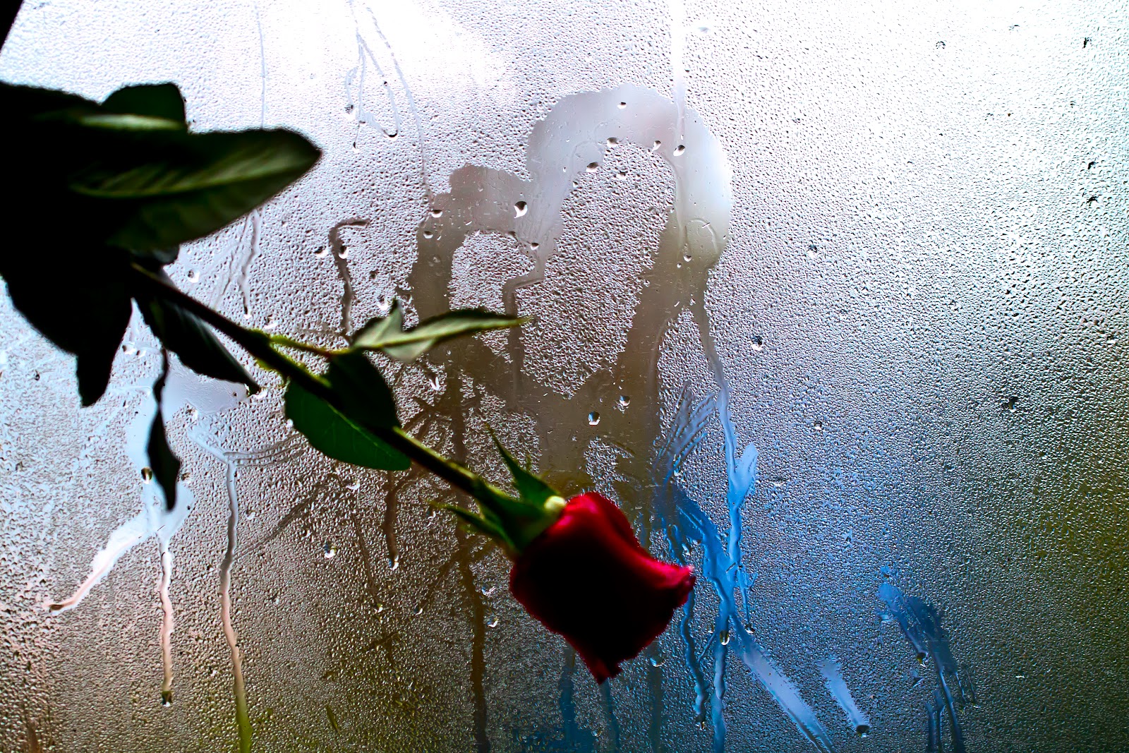 На пороге дождь. Цветы на дождливом окне. Дождь за окном. Розы под дождем.