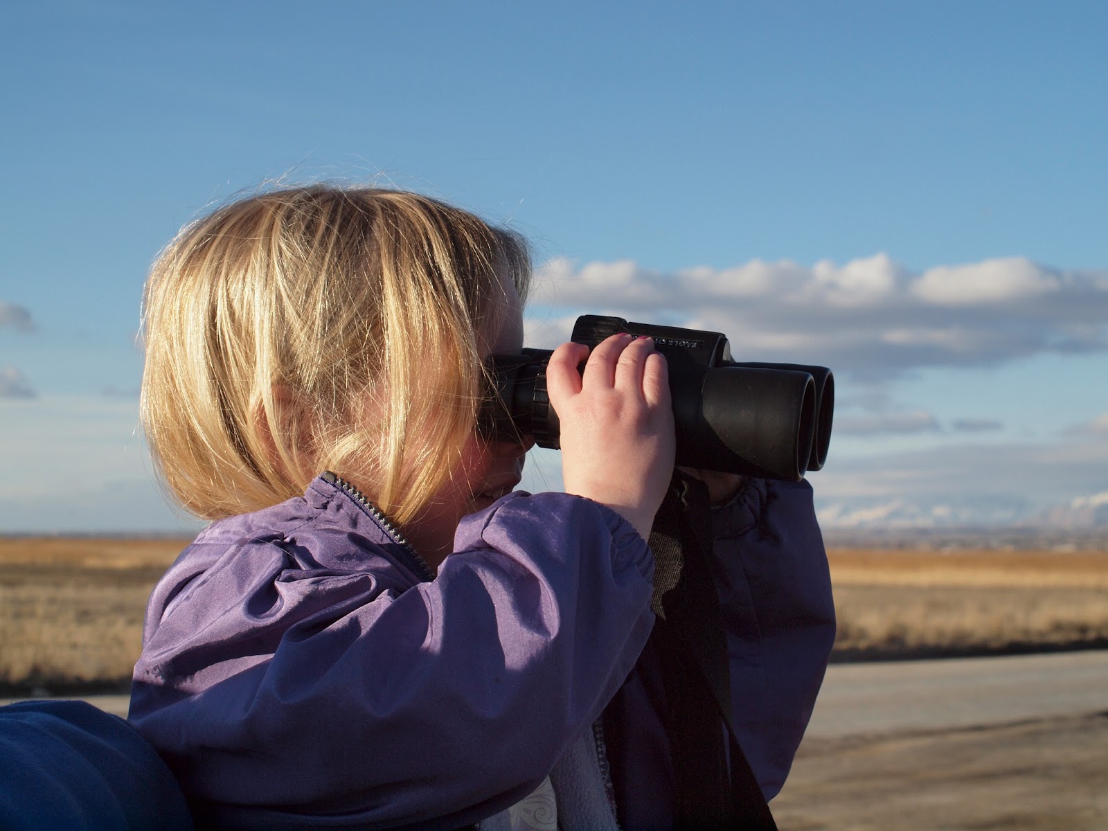 Birding Is Fun!: Birding Pedagogy