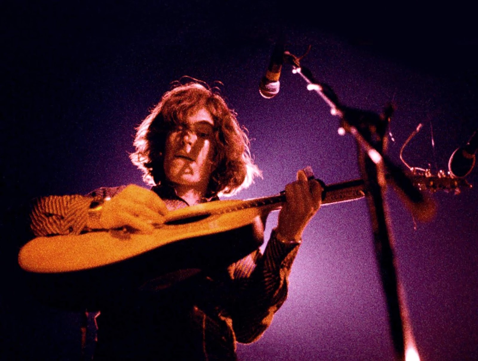 Forestdweller: Steve Winwood