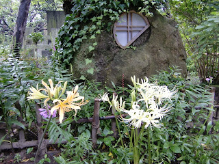 ������̃q�K���o�i