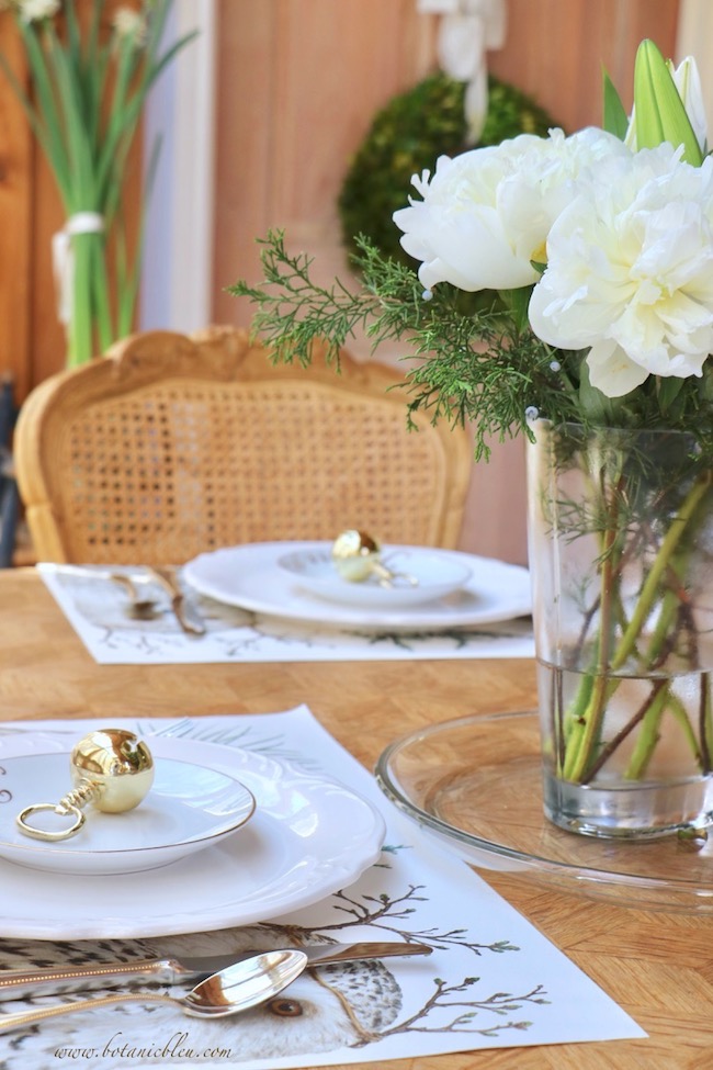 white Christmas peonies with native cedar branches for a French table setting
