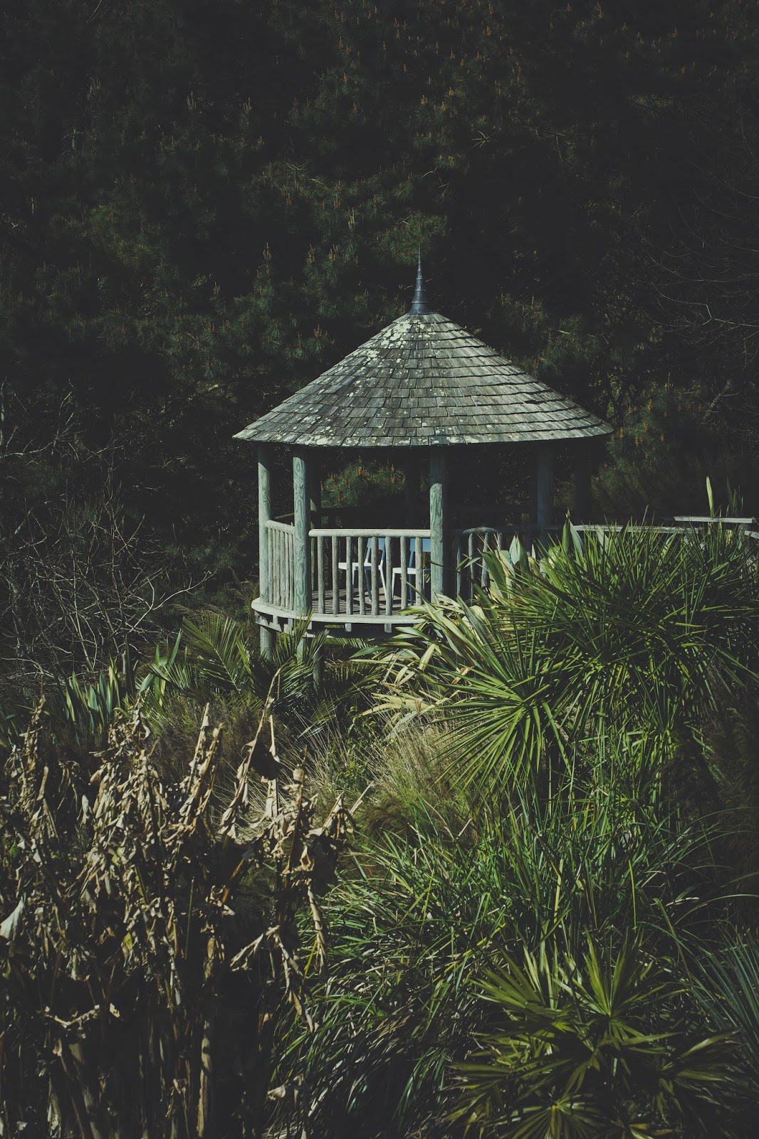 Tremenheere Sculpture Park, Penzance, Cornwall